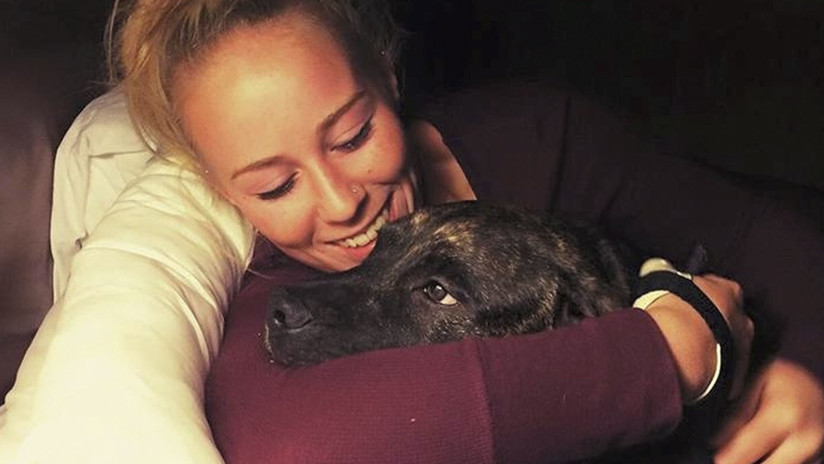 Dos perros devoran a su joven dueña durante un paseo por un bosque