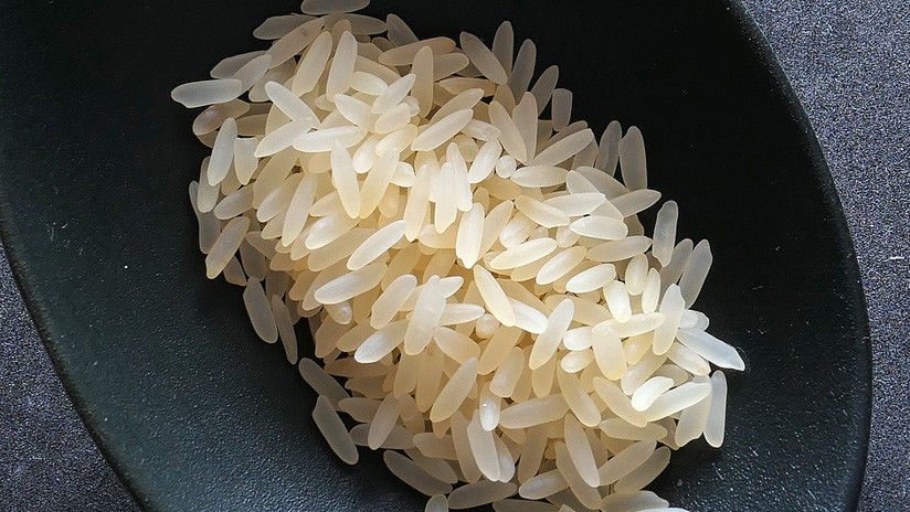 Ecuador: ¿Venta de arroz plástico?