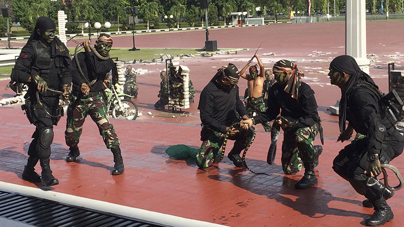 VIDEO: Fuerzas especiales indonesias enseñan al jefe del Pentágono cómo manipular serpientes