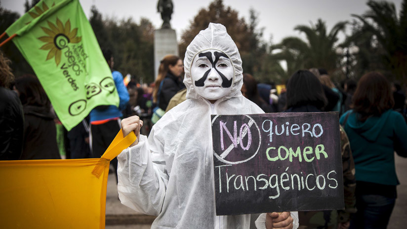 México, "invadido" por los cultivos transgénicos: ¿Qué hay detrás?