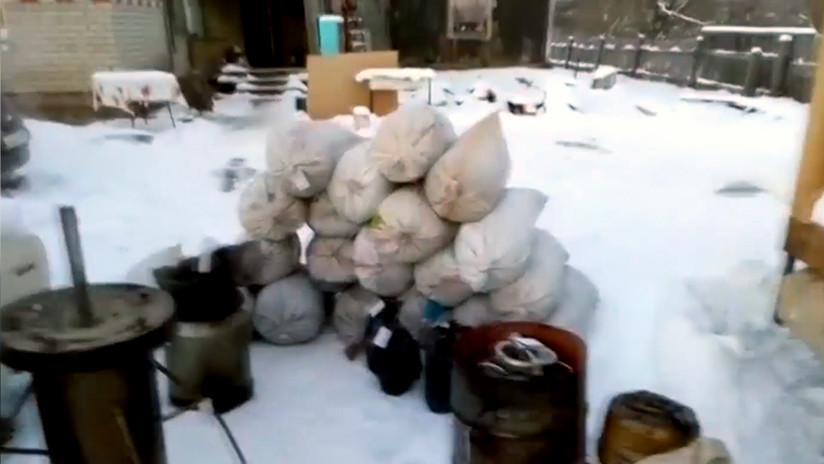 Policía incauta 150 kilogramos de marihuana en un jardín de Siberia