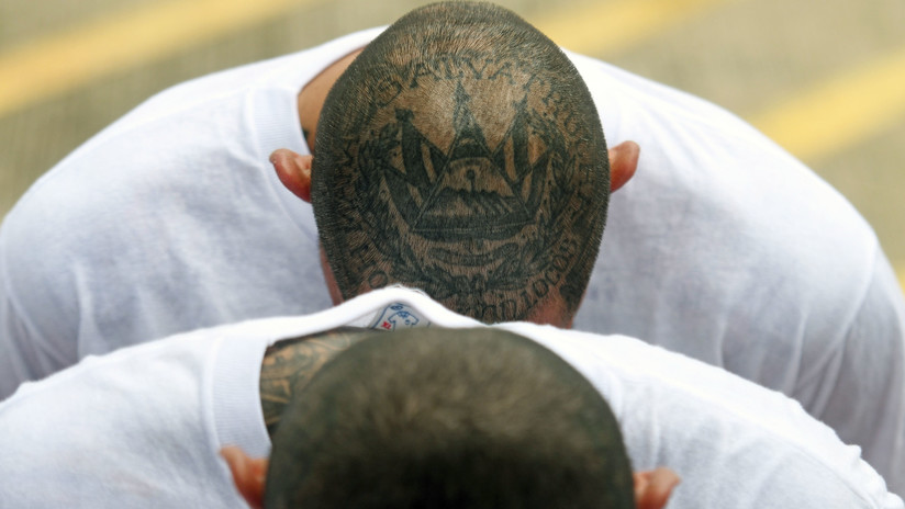 Tres miembros de la MS-13 son sentenciados por ejecutar a un menor en Nueva York