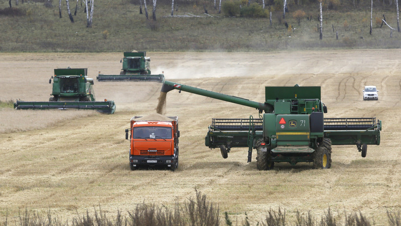 Camino al récord: La exportación de granos rusos se acerca a 50 millones de toneladas
