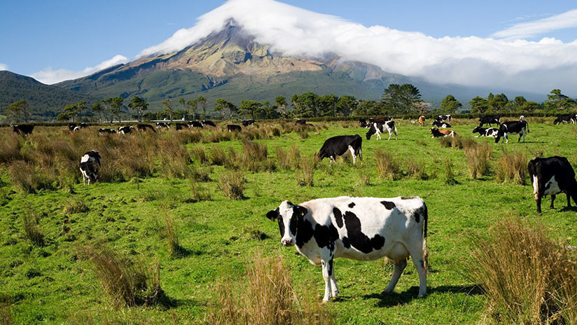 "Una granja al final de un largo camino": Un paquete sin dirección exacta llega a sus destinatarios