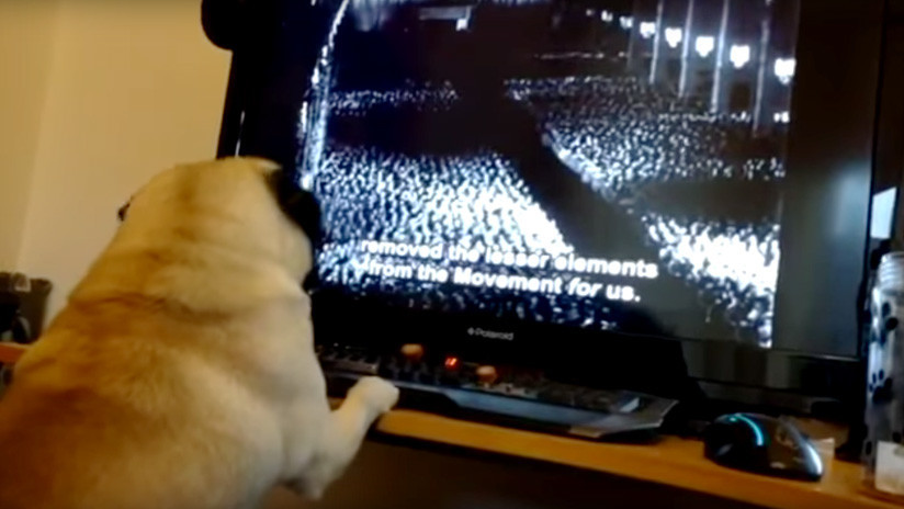 VIDEO: Le enseña al perro de su novia un saludo nazi y ahora podría ir preso