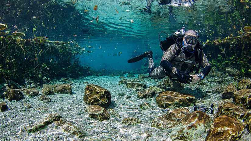 Descubren caverna con fragmentos prehispánicos durante la limpieza de un cenote en México (FOTOS)