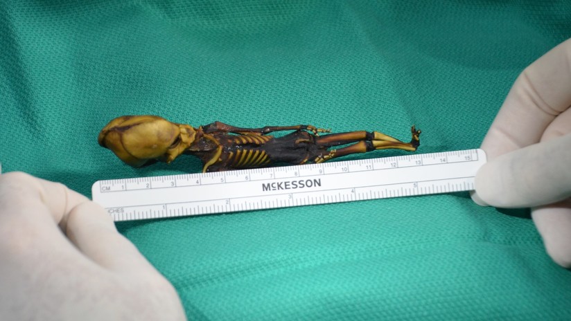 Científicos chilenos estiman ilegal el estudio que descartó que la momia Ata es un 'alien'