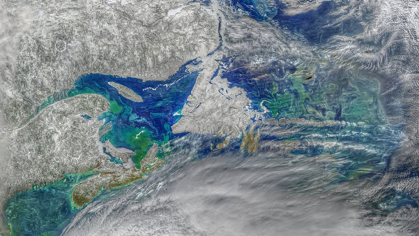 Foto, video: Captan una increíble flor de fitoplancton psicodélico desde el espacio