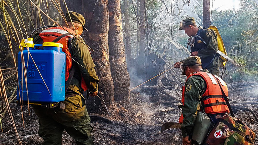 FOTOS, VIDEO: Ejército de Nicaragua detiene el avance de un incendio en reserva forestal