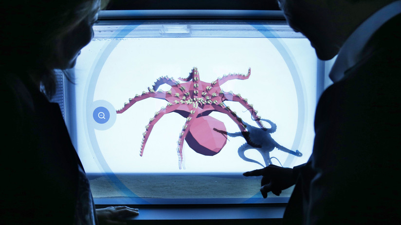 Flexibles y ágiles: EE.UU. desarrolla 'robots calamares' para áreas de acceso restringido
