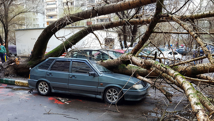 FOTOS, VIDEOS: Una niña muerta y varios heridos por una fuerte tormenta en Moscú