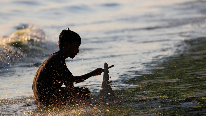 FOTOS: Filipinos temen un apocalipsis tras encontrar una horrible criatura peluda en la playa