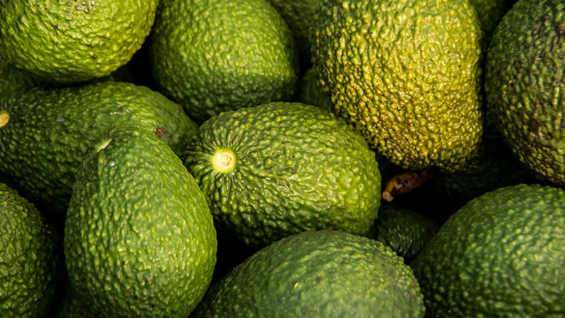El 'Amazon chileno' vende a un joven un celular por 58 kilos de aguacate (FOTO, VIDEO)