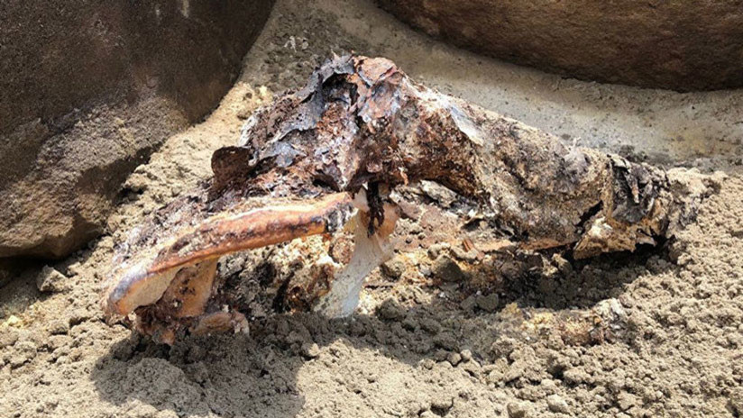 FOTO: Hallan una momia del siglo I a.C. en la zona inundada de una central hidroeléctrica rusa