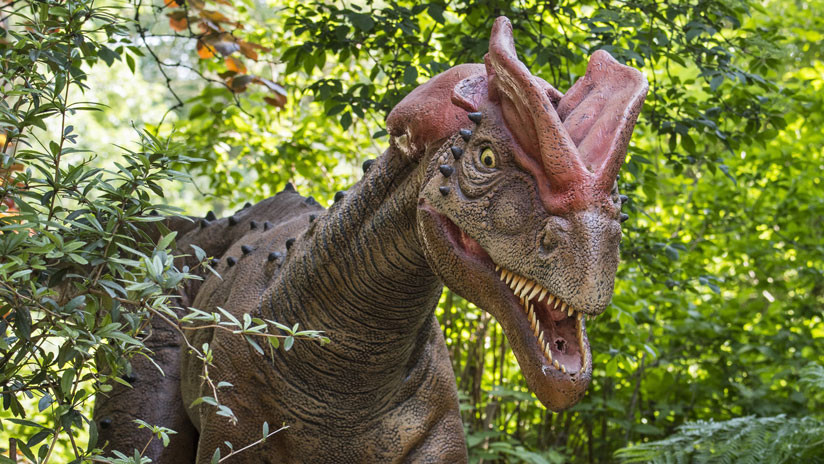 Un nuevo estudio pone en duda la manera clásica de representar a los dinosaurios