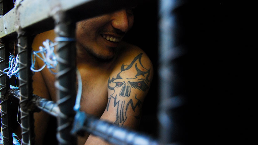 Relato de una inmigrante: "La MS-13 amenazó con matarme. El Gobierno de EE.UU. se llevó a mis hijos"