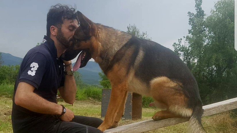 FOTOS: Envenenan al heroico perro que salvó vidas humanas tras terremotos en Italia