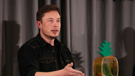 Elon Musk