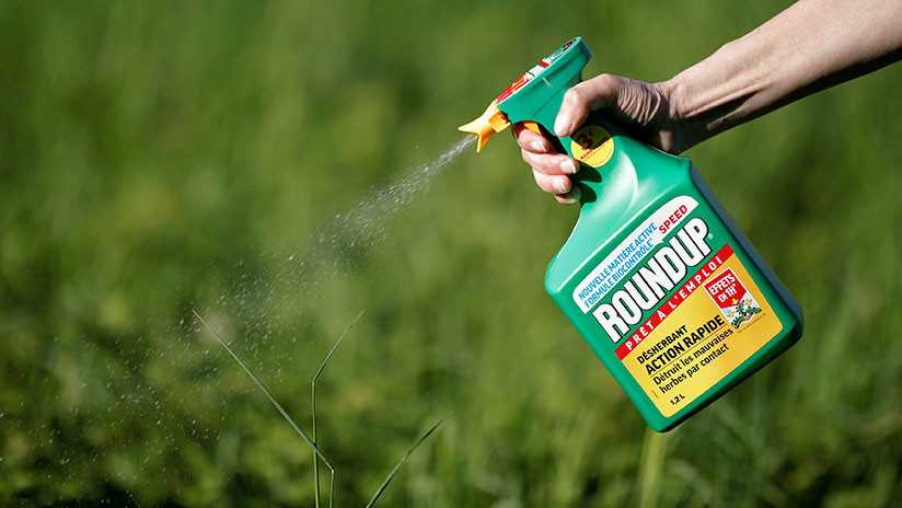 Monsanto pagará $289 millones por efectos cancerígenos de glifosato Monsanto pagará $289 millones por efectos cancerígenos de glifosato