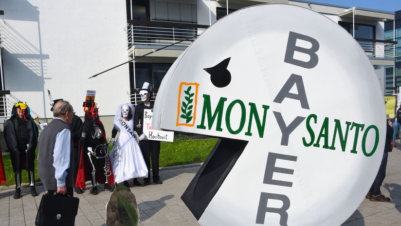 Basf finalizó la adquisición del negocio de semillas de hortalizas de Bayer