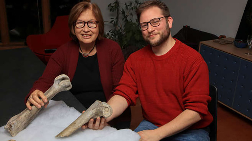 Restos de un animal prehistórico revelan datos sobre la aparición humana en Madagascar