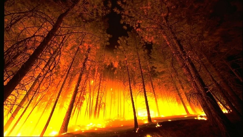 VIDEO: Un 'tornado de fuego' destruye una manguera con la que combatían las llamas