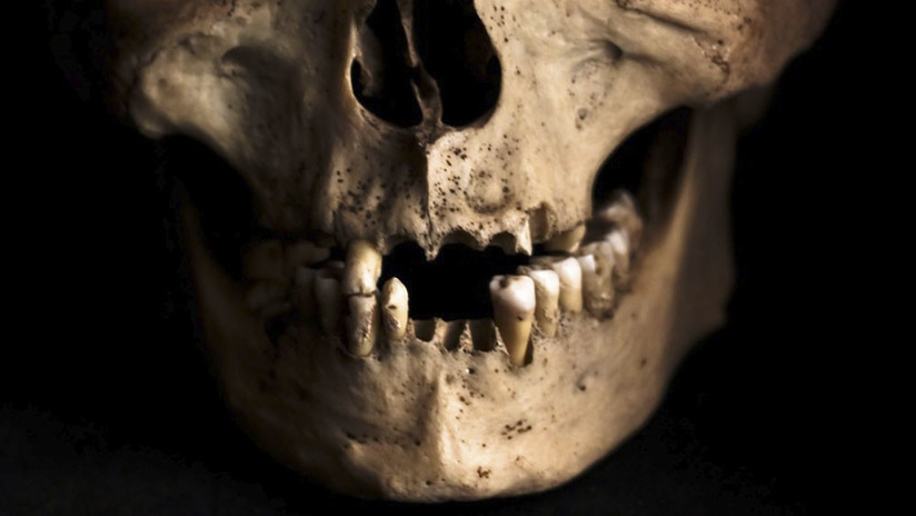 EE.UU.: Obreros hallan 1.000 dientes humanos dentro de una pared (FOTOS)