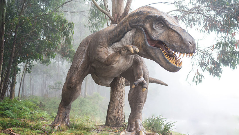 Las aves 'heredaron' sus huevos de colores de los dinosaurios