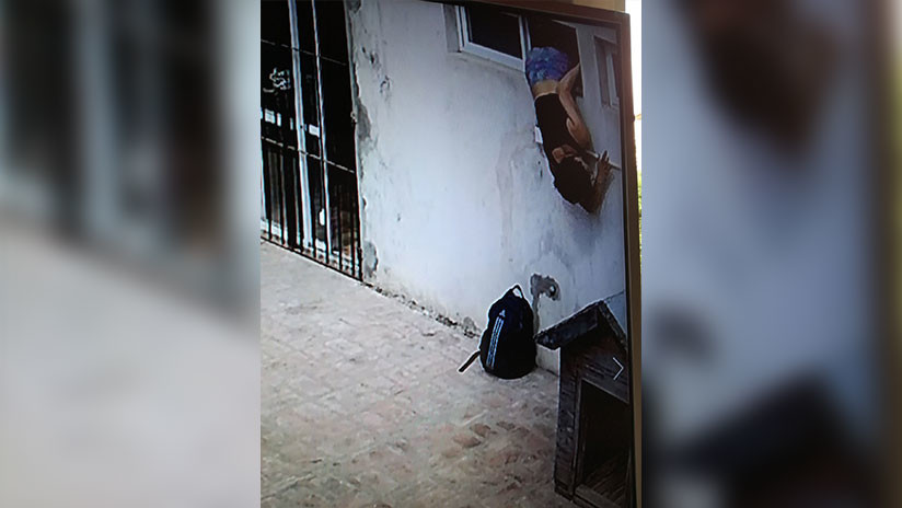 VIDEO, FOTOS: Pareja argentina cansada de los robos constantes instala cámaras y pilla a la ladrona