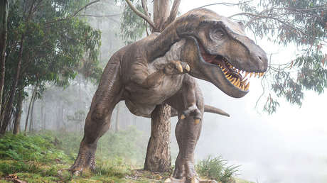 Las aves 'heredaron' sus huevos de colores de los dinosaurios