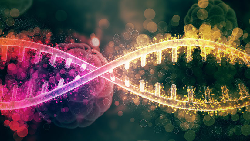 Un virus biológico podrÃa 'acelerar' las supercomputadoras de alta velocidad