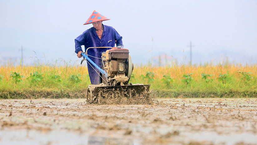 China: Indemnizan con 670.000 dólares a hombre que pasó 25 años en prisión por una condena errónea