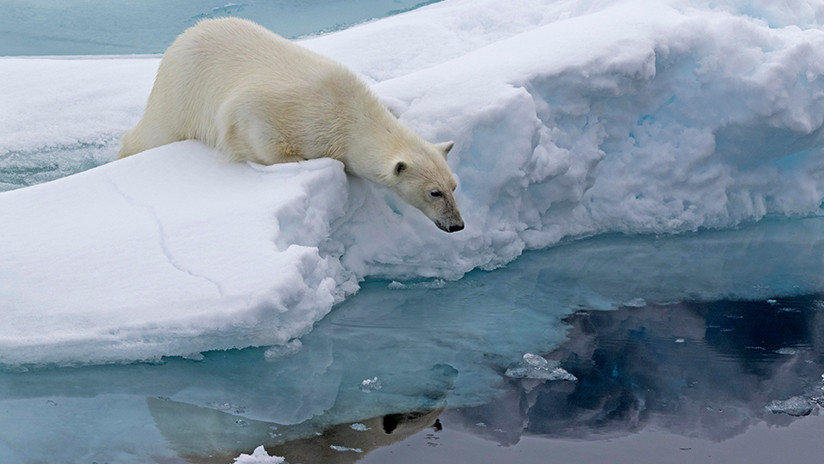 Nadie sabe por qué, pero el Polo Norte avanza hacia Siberia