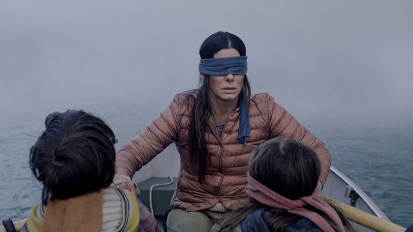 "Un resultado predecible": Intenta el reto de 'Bird Box', se venda los ojos y choca su auto (FOTOS)