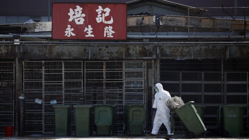Hallan un 'santo grial' de fármacos capaz de parar virus mortales como el Zika y la gripe del pollo