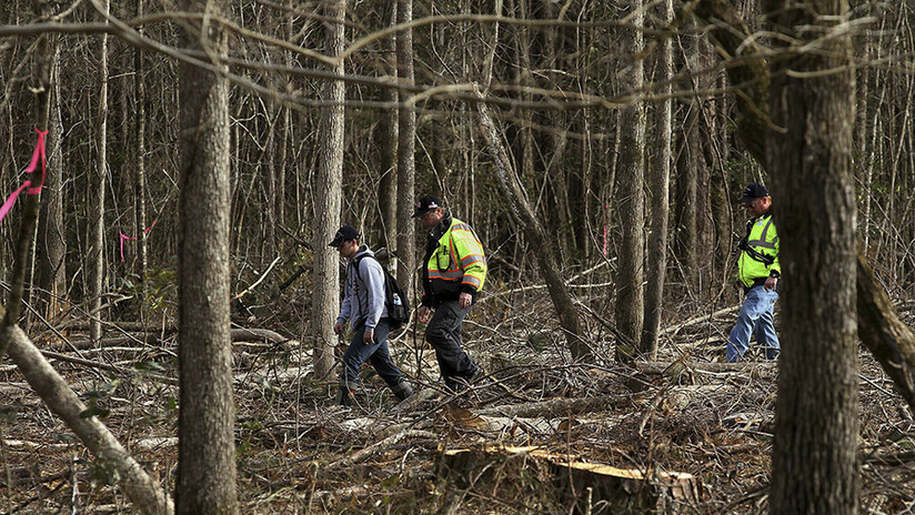 Un niño de 3 años perdido en el bosque sobrevive gracias a un "oso amigable"