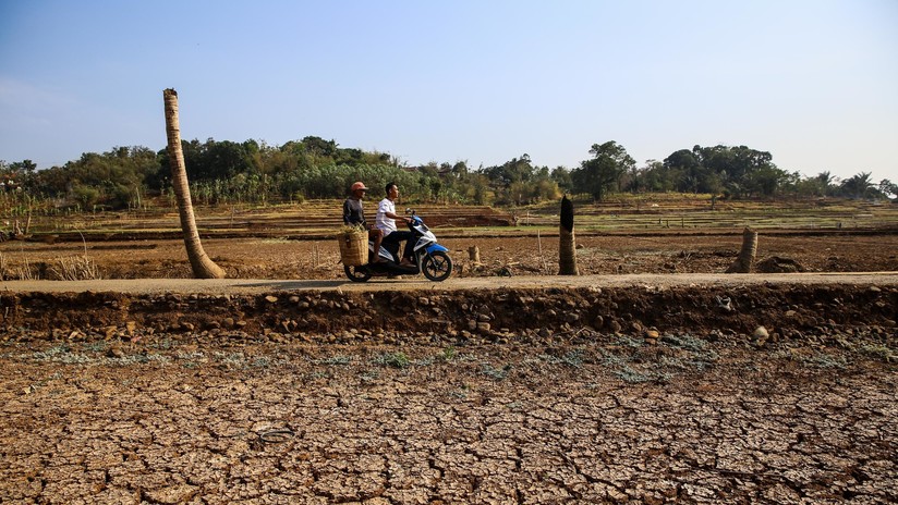 El cambio climático puede provocar un "colapso incontrolable" comparable a la crisis financiera