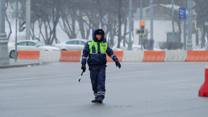 VIDEO: La policía detiene el tráfico para que un perro cruce la carretera en Siberia