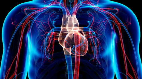 Los médicos explican por qué el cáncer de corazón es tan raro