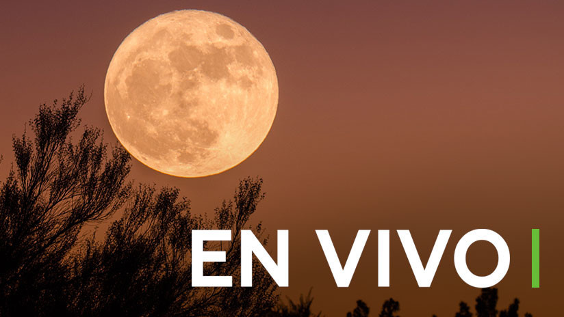 EN VIVO: Llega la última 'superluna' de 2019