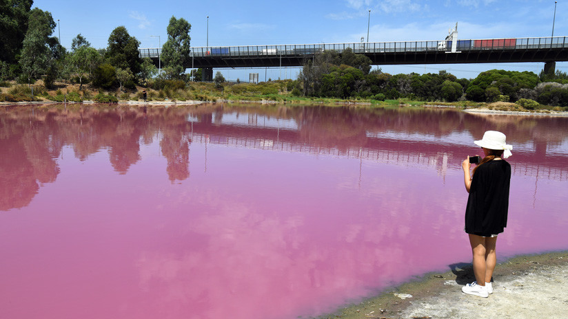 Resultado de imagen para Un lago de Australia se torna rosado