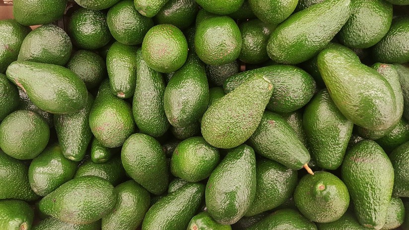Las amenazas de Trump de cerrar la frontera con México provocan un desconcertante aumento del precio del aguacate