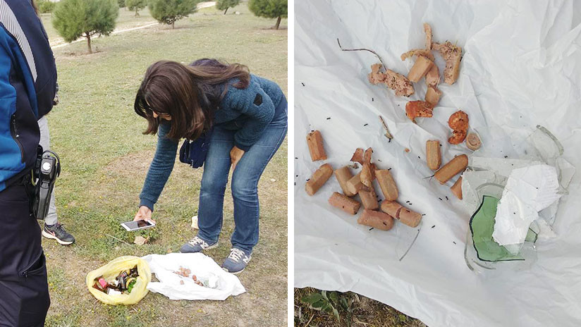 FOTOS: Aparecen salchichas con alfileres y cristales dentro para daÃ±ar perros en un parque de Madrid