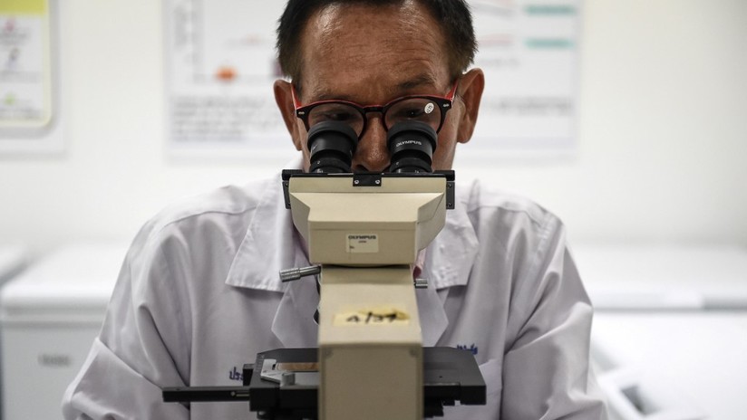 Científicos descifran el secreto de un gusano sin boca ni intestino que ha sobrevivido por 500 millones de años