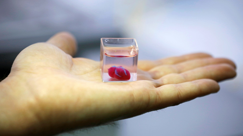 CientÃ­ficos israelÃ­es 'imprimen' el primer corazÃ³n 3D del mundo con tejido humano (FOTOS)