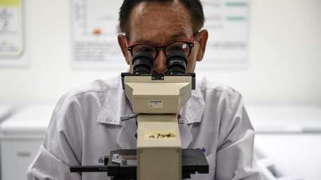 Científicos descifran el secreto de un gusano sin boca ni intestino que ha sobrevivido por 500 millones de años
