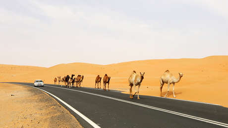 Todos los caminos llevan a Pekín: 17 países árabes se unen a las Nuevas Rutas de la Seda de China