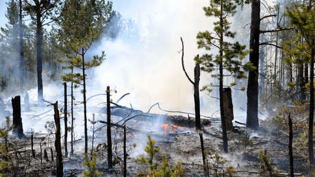 VIDEOS: Incendios en Siberia dejan decenas de heridos y casas destruidas