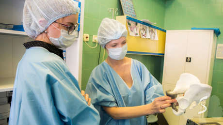 Médicos de la Universidad de Séchenov trabajan con una prótesis de pelvis.