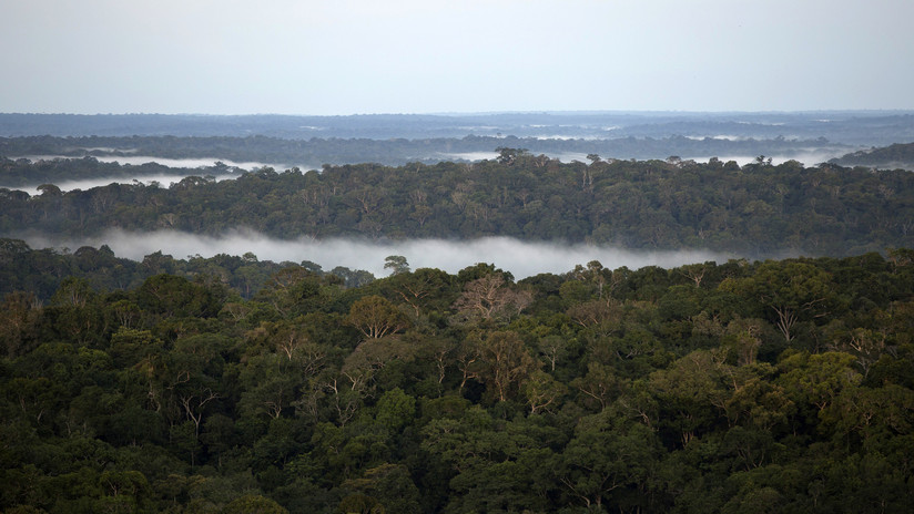 FOTO: Una tribu ecuatoriana gana el juicio contra el Gobierno y salva miles de hectÃ¡reas en la Amazonia